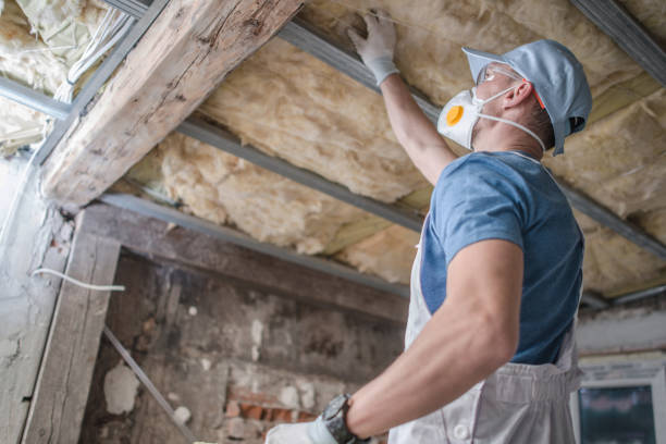 Best Attic Insulation Installation  in Kenilworth, PA